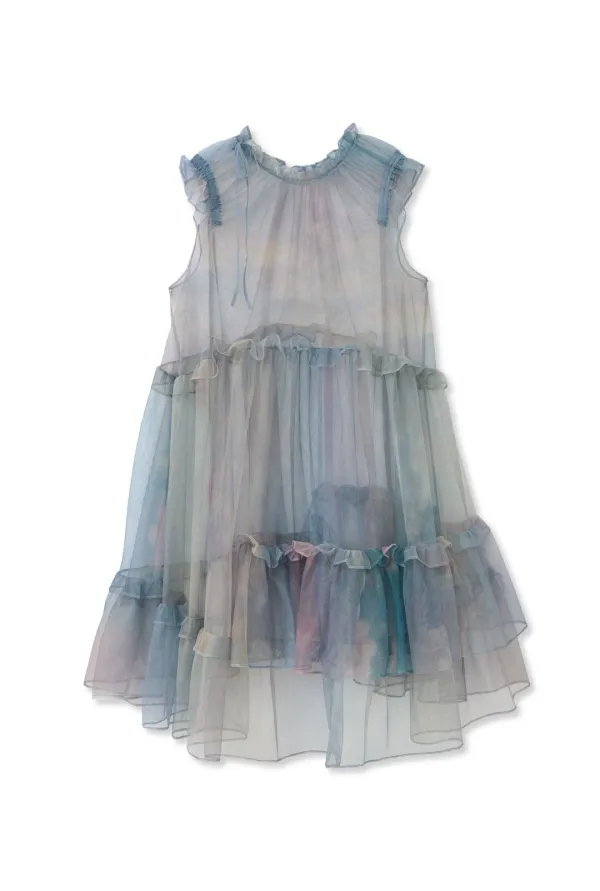 MESH RIBBON RUFFLE DRESS zinlloi X CSMS (ECHO)