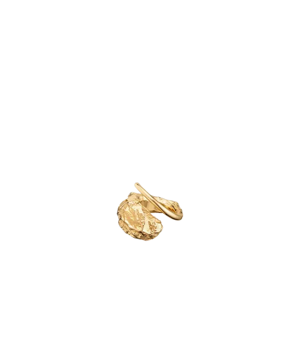 Eroz(에호즈) 반지 - 24K 골드 도금