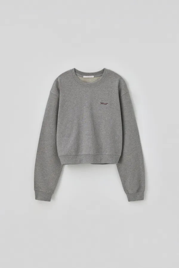 T/T Studio crop sweatshirt (gray)