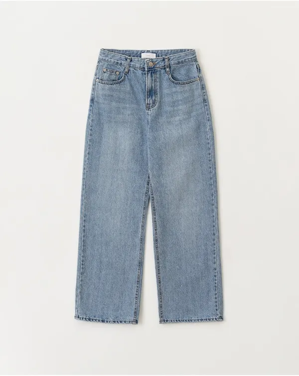 LW251 Regular wide denim pants
