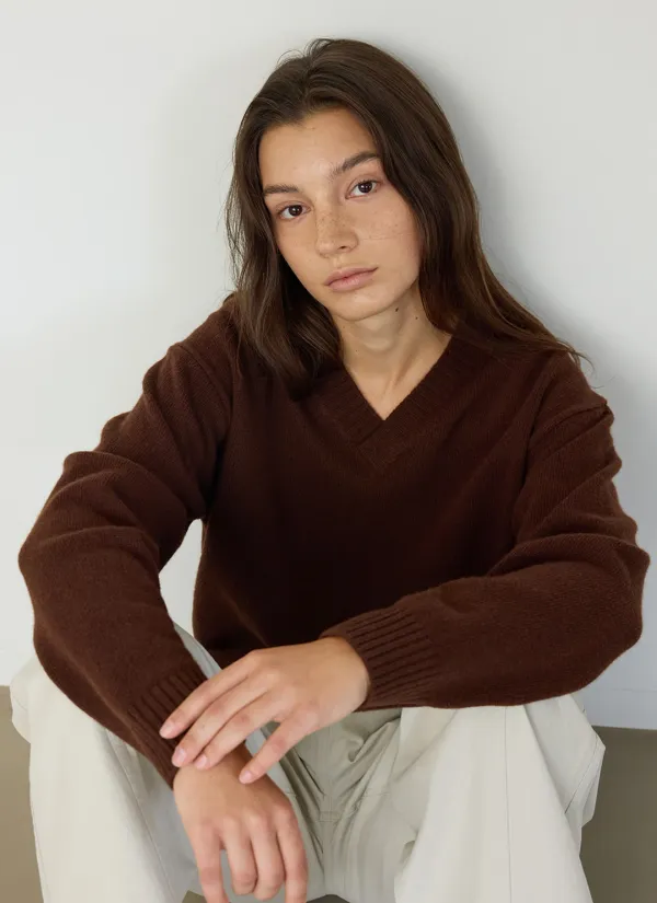 Deia V-Neck Wool Knit (Brown)