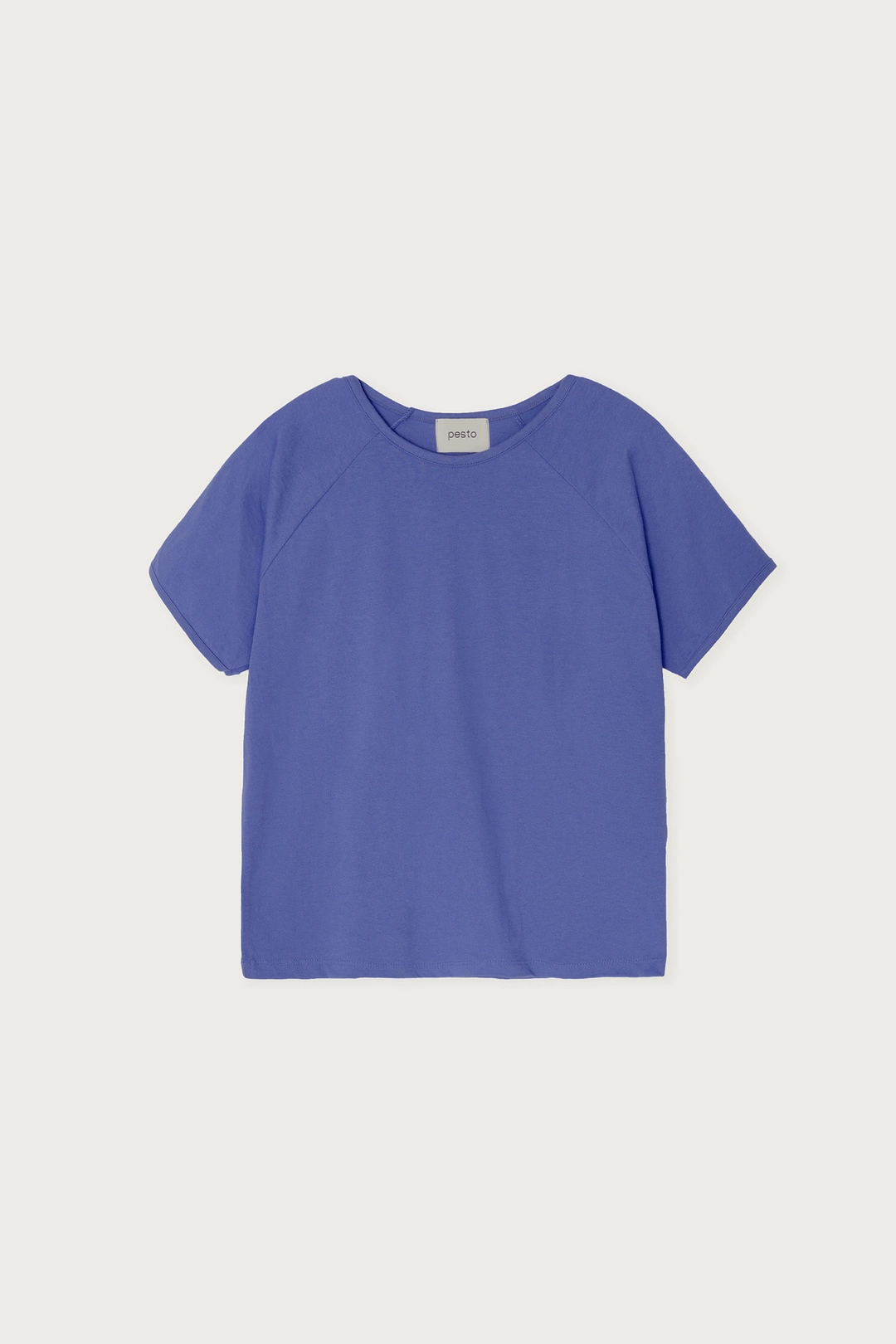 페스토 RAGLAN SHORT SLEEVE T-SHIRT EARTH BLUE 상품 이미지 1