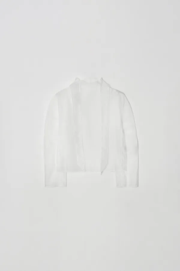 Sheer Turtleneck Blouse (white)