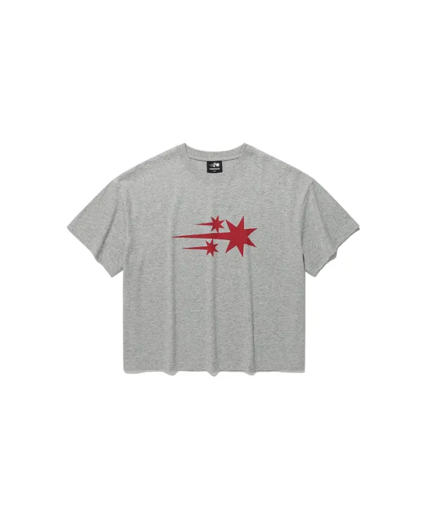 3star big crop tee[grey]