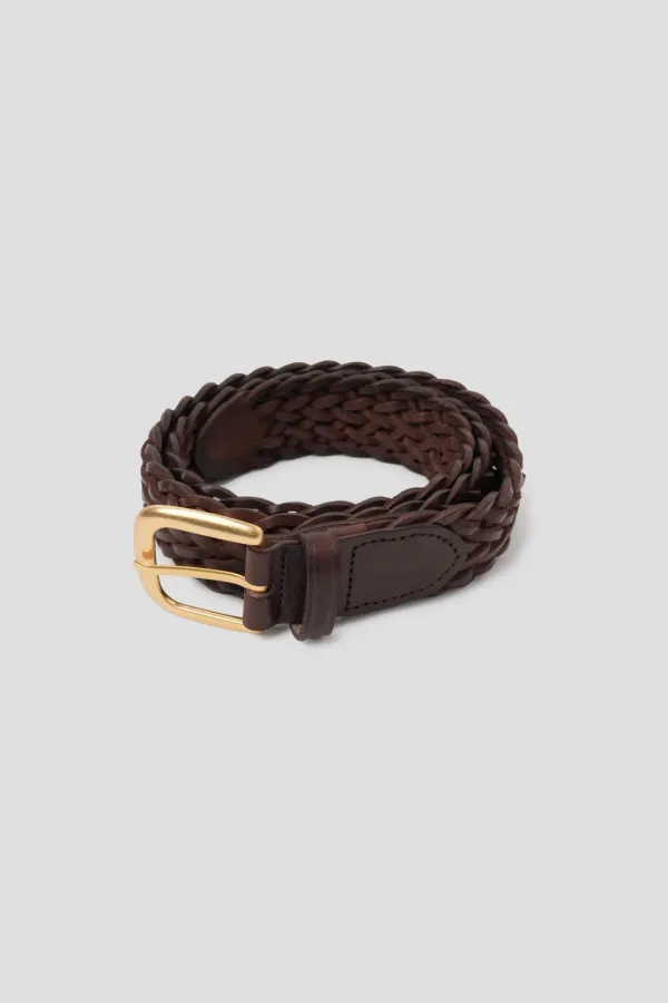Tors Brown Belt ( 15th )