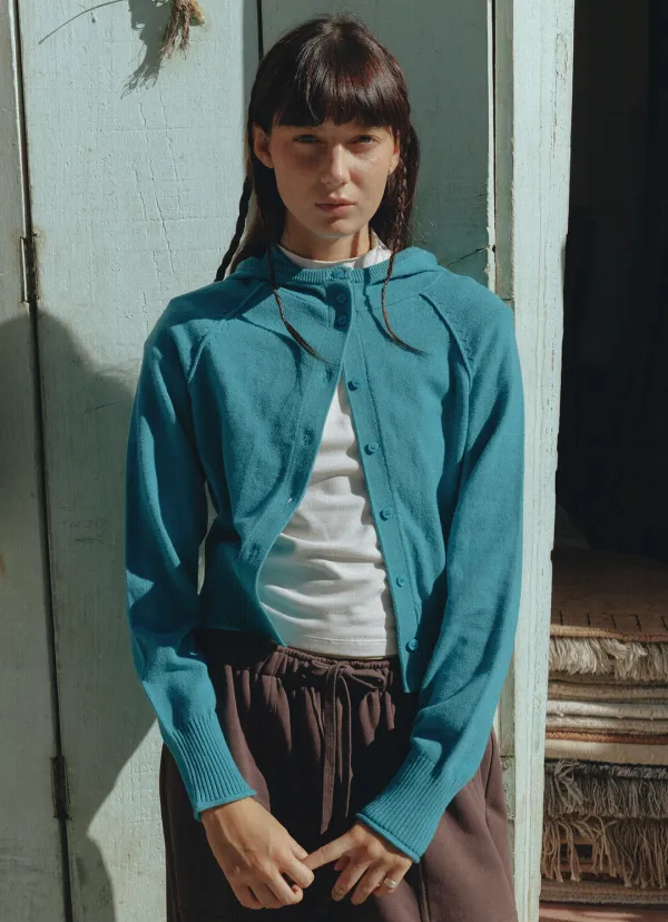 Fitted knit hoodie_Biscay Bay