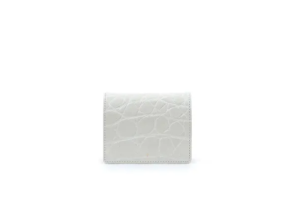 Tiny Bag- 3 Colors