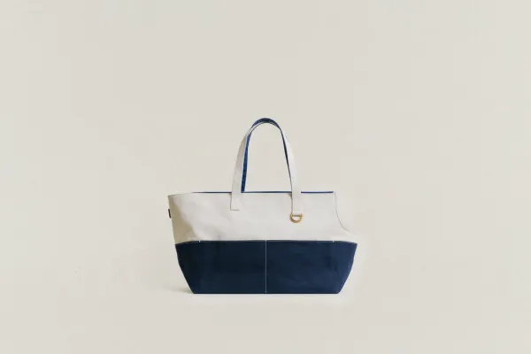 COMPAGNON CARRIER