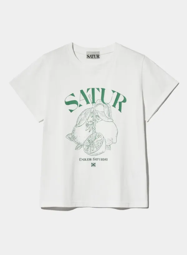 (W) Capri Citron Drawing Summer Graphic T-Shirt - Light Green