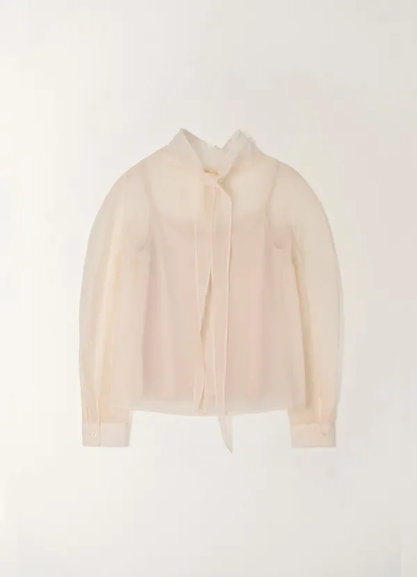 Rosie Sheer Blouse Set (2color)