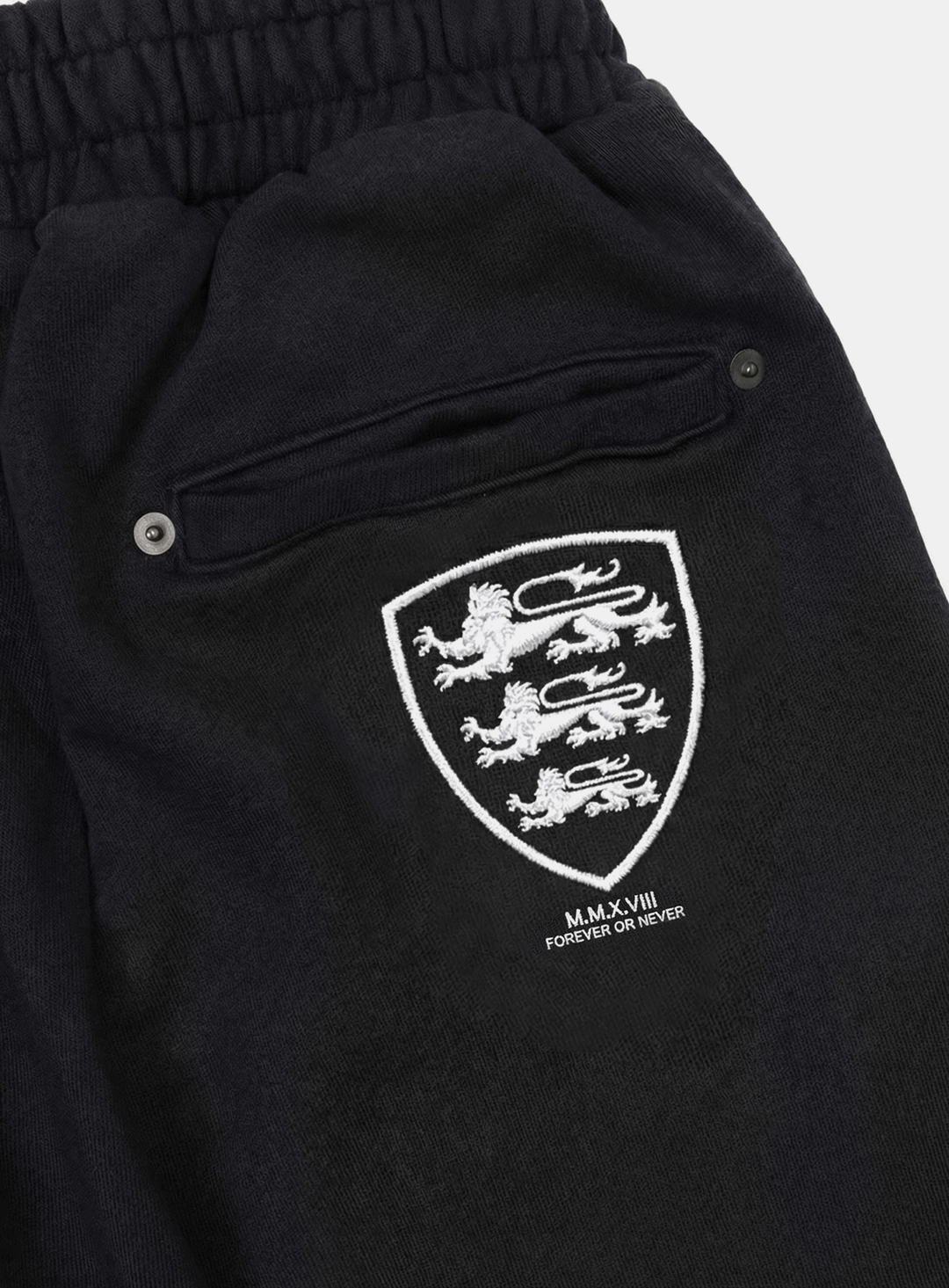 배드블러드 [w-pts26-061] Shield-M Semi-Curved Fit Joggers - Black 상품 이미지 3